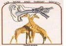 Tanzania ENT Society (TENTS)